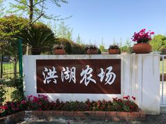 -洪湖家庭农场·团建·露营·会议