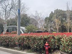 -无锡梅园公园