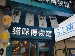 -猫咪博物馆(顶澳仔猫街店)