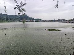 -鸣鹤古镇