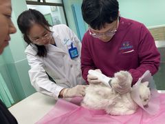 -北京观赏动物医院·24小时大型综合·猫专科·异宠专科