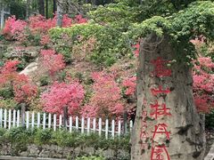 -洛阳白云山景区