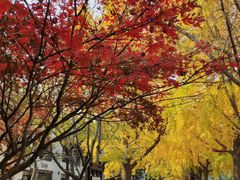 -苏州市立医院本部母子保健中心