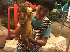 -清迈夜间动物园