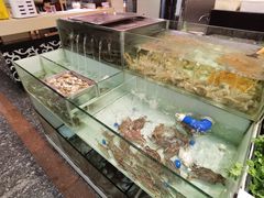 水产区-多迷烫菜广场(水心大厦店)