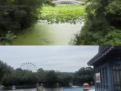 -二一九公园