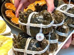 -半岛听涛蒸汽海鲜自助(K11店)