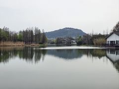 -长广溪湿地公园