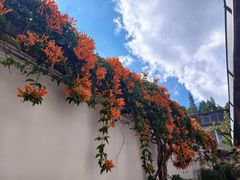 -瑞丰园庭院餐厅·白族传统家常菜