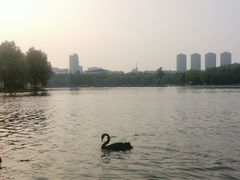 -长春世界雕塑园冰雪艺术天地