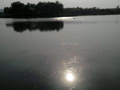 android_upload_pic-西安世博园