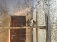 -北戴河集发农业梦想王国