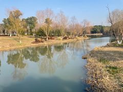 -九科绿洲