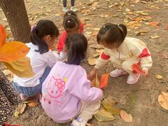 -井德幼儿园(泰达园)