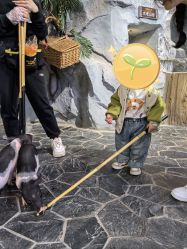 -Zoolung Zoolung动物主题公园(海信广场店)