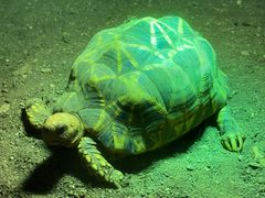 -济南野生动物世界