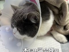 -达爱动物医院·犬猫分区·CT·复杂眼科(远洋山水分院)