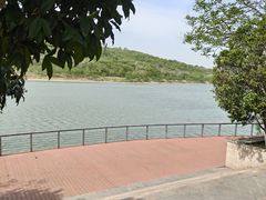 -羊山湖公园