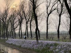 -东郊湿地公园