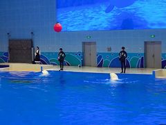 -石家庄市动物园