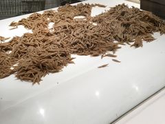 -西贝莜面村(上海百联西郊店)