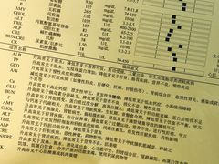 -御宝贝·A梦猫科宠物医院(国际猫友好医院)