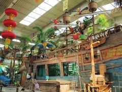 -南宫五洲植物乐园