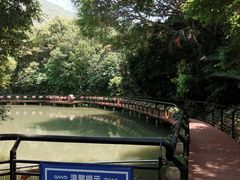 -月亮湾公园