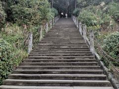 -铁山坪森林公园