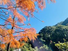 -广州市石门国家森林公园