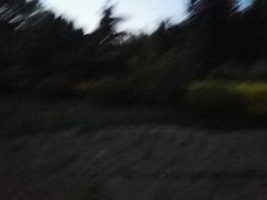 -绿岛公园(滨海新区)