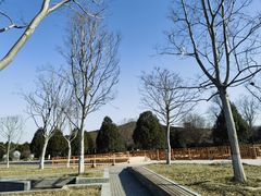 -秦始皇帝陵博物院-丽山园