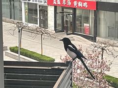 -40+精酿啤酒俱乐部(国投财富广场店)
