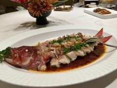 -觅唐MITONG(鸟巢店)