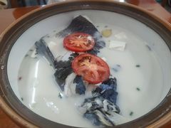 -全乐鱼馆·淳牌有机鱼直营店