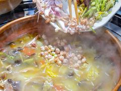 -阿山卓·野生菌火锅·纳西火塘烤肉