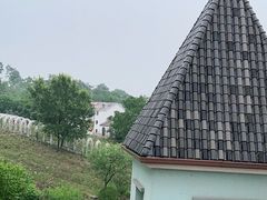 -大塘金香草谷