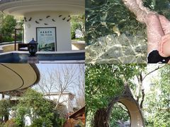 -苏州湾·王焰温泉