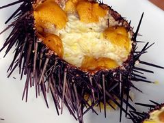 海胆蒸蛋-华圆美食