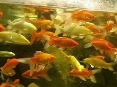 -洛阳龙门海洋馆