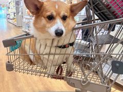 -凯德广场(金牛店)