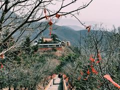 -妙峰山风景名胜区