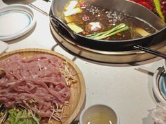 -二荆条·城市森林火锅旗舰店