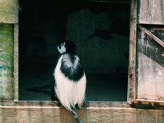 -昆明动物园