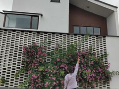-东梓关景区村庄