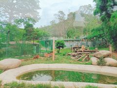 -泉州海丝野生动物世界