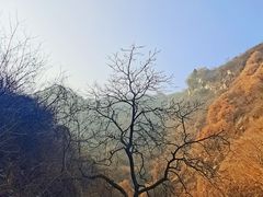 -抱龙峪