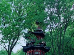 -上海佘山国家森林公园西佘山园