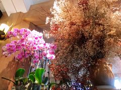 -春暖花开(西溪店)