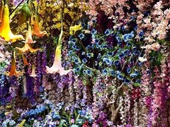 -正佳雨林生态植物园
